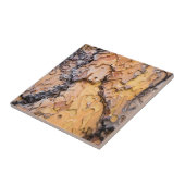 Ponderosa pijnboomschors, Washington Tegeltje (Zijkant)