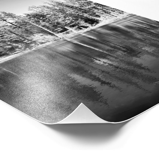 Ponderosa Pines Reflection Foto Afdruk (Hoek)