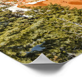 Ponderosa Point, Bryce Canyon National Park Poster (Hoek)