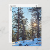 Ponderosa Shine Colorado Mountain Briefkaart (Voorkant / Achterkant)