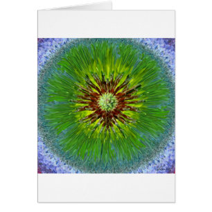 Ponderosa Sunburst Mandala