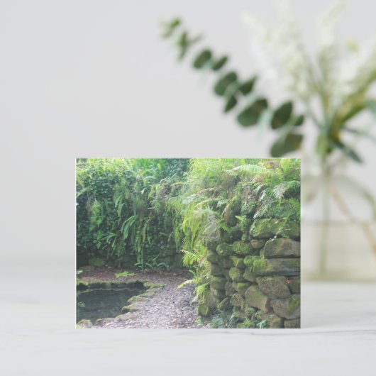 Pond's Grotto Briefkaart (Staand voorkant)