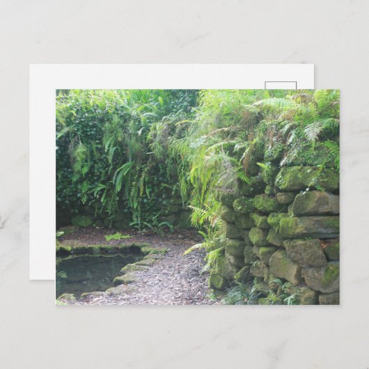 Pond's Grotto Briefkaart (Voorkant / Achterkant)