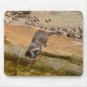 **"Pondside Feest: een otter en zijn vangst"** Muismat