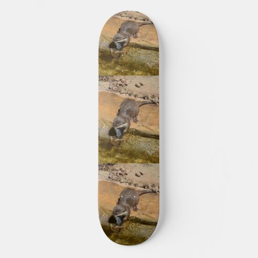 **"Pondside Feest: een otter en zijn vangst"** Persoonlijk Skateboard (Voorkant)