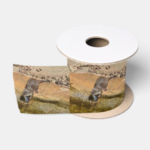 **"Pondside Feest: een otter en zijn vangst"** Satijnen Lint