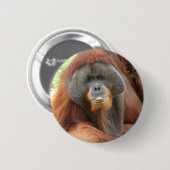 Pongo Orangutan Ape Round Pin Ronde Button 5,7 Cm (Voorkant /achterkant)