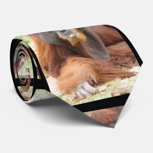 Pongo Orangutan Ape Stropdas (Opgerold)