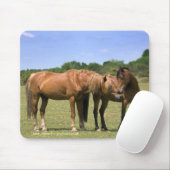 Ponies in Love Mousemat Muismat (Met muis)
