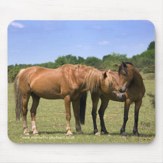 Ponies in Love Mousemat Muismat (Voorkant)