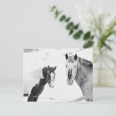Ponies in Snowstorm Briefkaart (Staand voorkant)