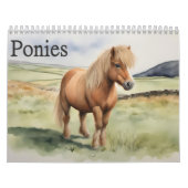 Ponies Kalender (Hoes)