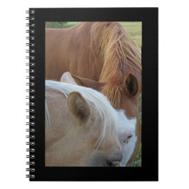 Ponies Notitieboek