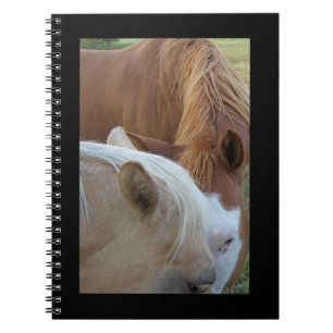 Ponies Notitieboek