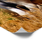 PONIES POSTER (Hoek)