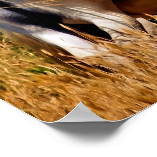 PONIES POSTER (Hoek)