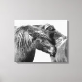 Ponies Scratch Canvas Afdruk (Voorkant)
