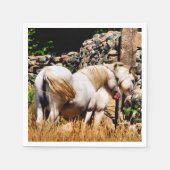 PONIES SERVET (Voorkant)