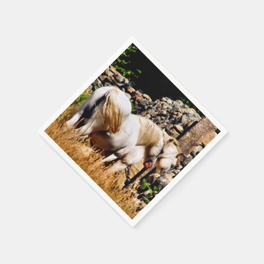 PONIES SERVET (Hoek)