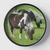 Ponies van raszuivere Shetland Paint (Voorkant)