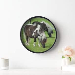 Ponies van raszuivere Shetland Paint