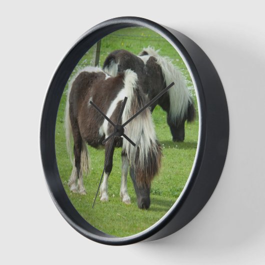 Ponies van raszuivere Shetland Paint (Hoek)