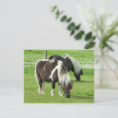 Ponies van raszuivere Shetland Paint Briefkaart (Staand voorkant)