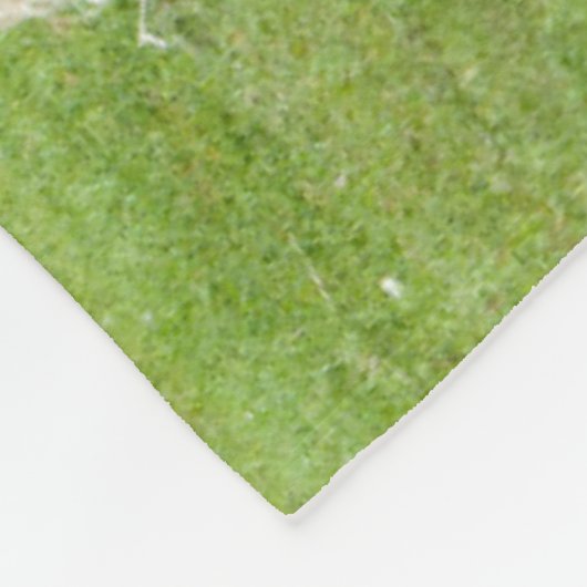 Ponies van raszuivere Shetland Paint Fleece Deken (Hoek)