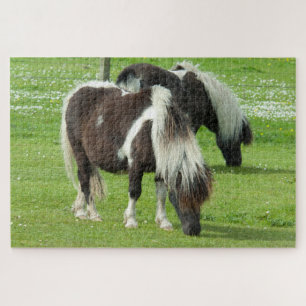 Ponies van raszuivere Shetland Paint Legpuzzel