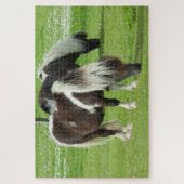 Ponies van raszuivere Shetland Paint Legpuzzel (Verticaal)