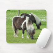 Ponies van raszuivere Shetland Paint Muismat (Met muis)