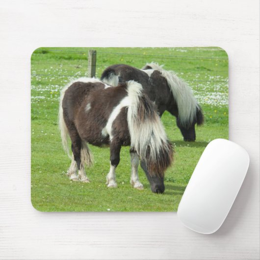 Ponies van raszuivere Shetland Paint Muismat (Met muis)