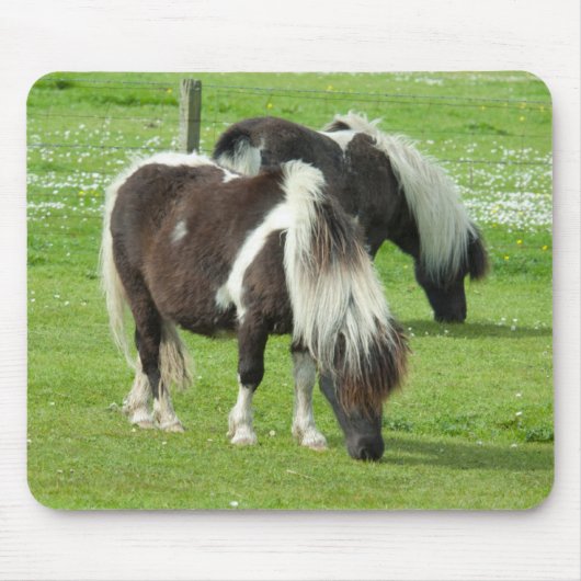 Ponies van raszuivere Shetland Paint Muismat (Voorkant)
