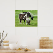 Ponies van raszuivere Shetland Paint Poster (Keuken)