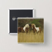 Ponies verven op Button Veldvierkant (Voorkant /achterkant)