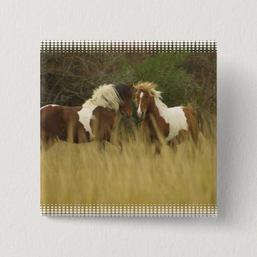 Ponies verven op Button Veldvierkant (Voorkant)