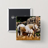 PONIES VIERKANTE BUTTON 5,1 CM (Voorkant /achterkant)