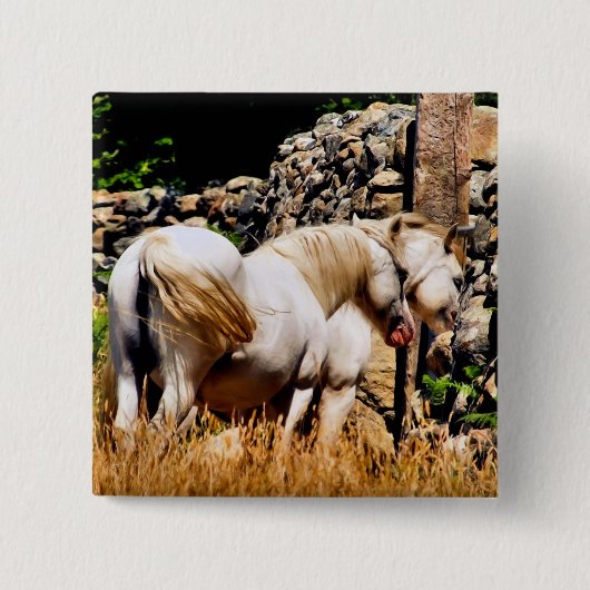 PONIES VIERKANTE BUTTON 5,1 CM (Voorkant)