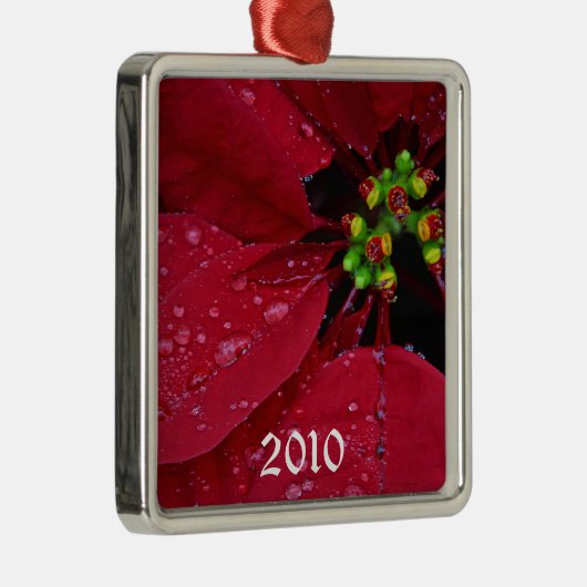 Ponsettia kerstversiering metalen ornament (Rechts)