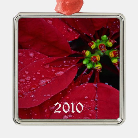 Ponsettia kerstversiering metalen ornament (Voorkant)