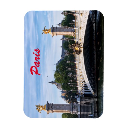 Pont Alexandre III aan de Seine River - Parijs, Fr Magneet (Verticaal)