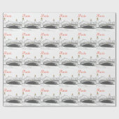 Pont Alexandre III aan de Seine River - Parijs Fra Cadeaupapier (Vlak)