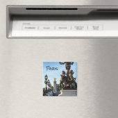 Pont Alexandre III-brug - Parijs, Frankrijk Magneet (Insitu (Vaatwasser))