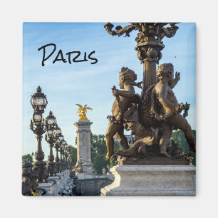 Pont Alexandre III-brug - Parijs, Frankrijk Magneet