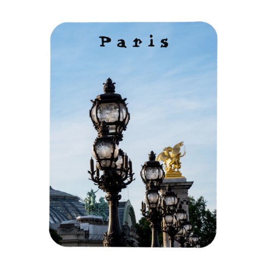 Pont Alexandre III - Parijs, Frankrijk Magneet (Verticaal)
