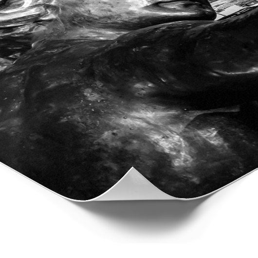 Pont Alexandre III Poster (Hoek)