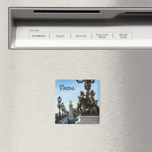 Pont Alexandre lll-brug - Parijs, Frankrijk Magneet (Insitu (Vaatwasser))