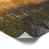 Pont des Arts en Ile de la Cité - Parijs, Frankrij Poster (Hoek)