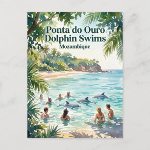 Ponta do Ouro Dolfijn Zwemmen Mozambique Briefkaart