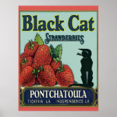 Pontchatoula Aardbeien, katje Poster (Voorkant)